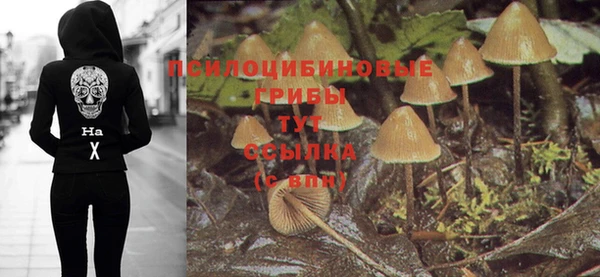бошки Абинск