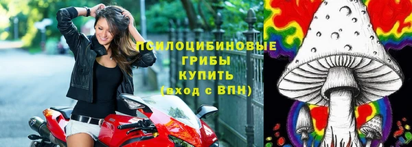 каннабис Абаза